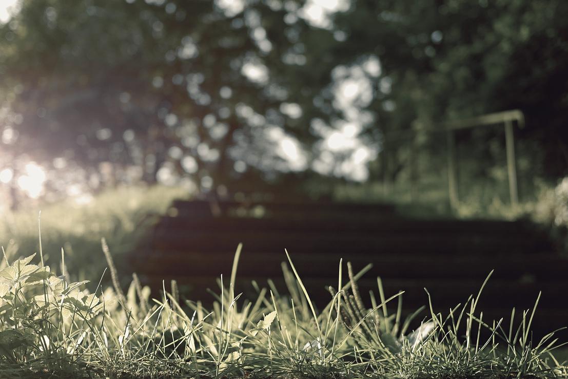 Et eligendi vel quos molestiae